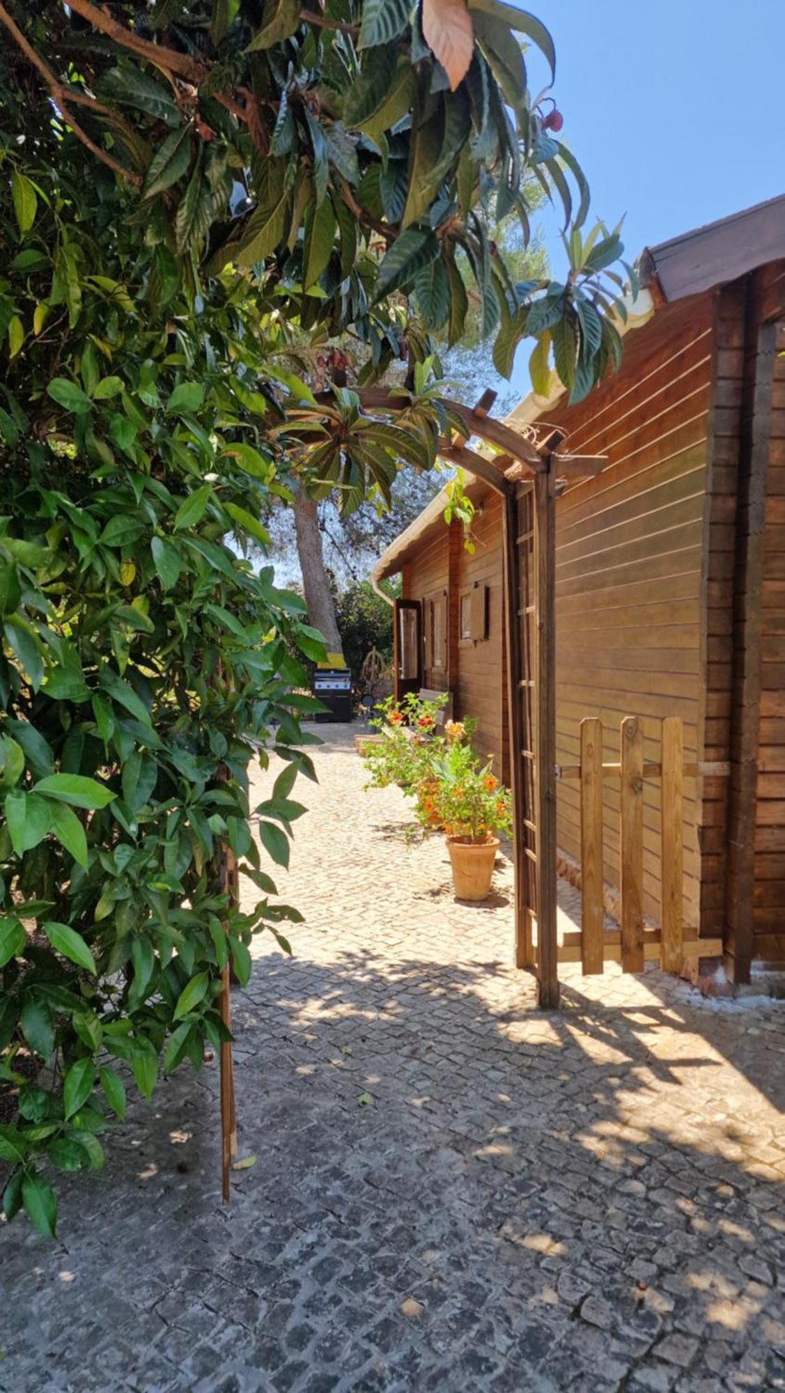 Chalet Villa Mosquito シルヴェス エクステリア 写真