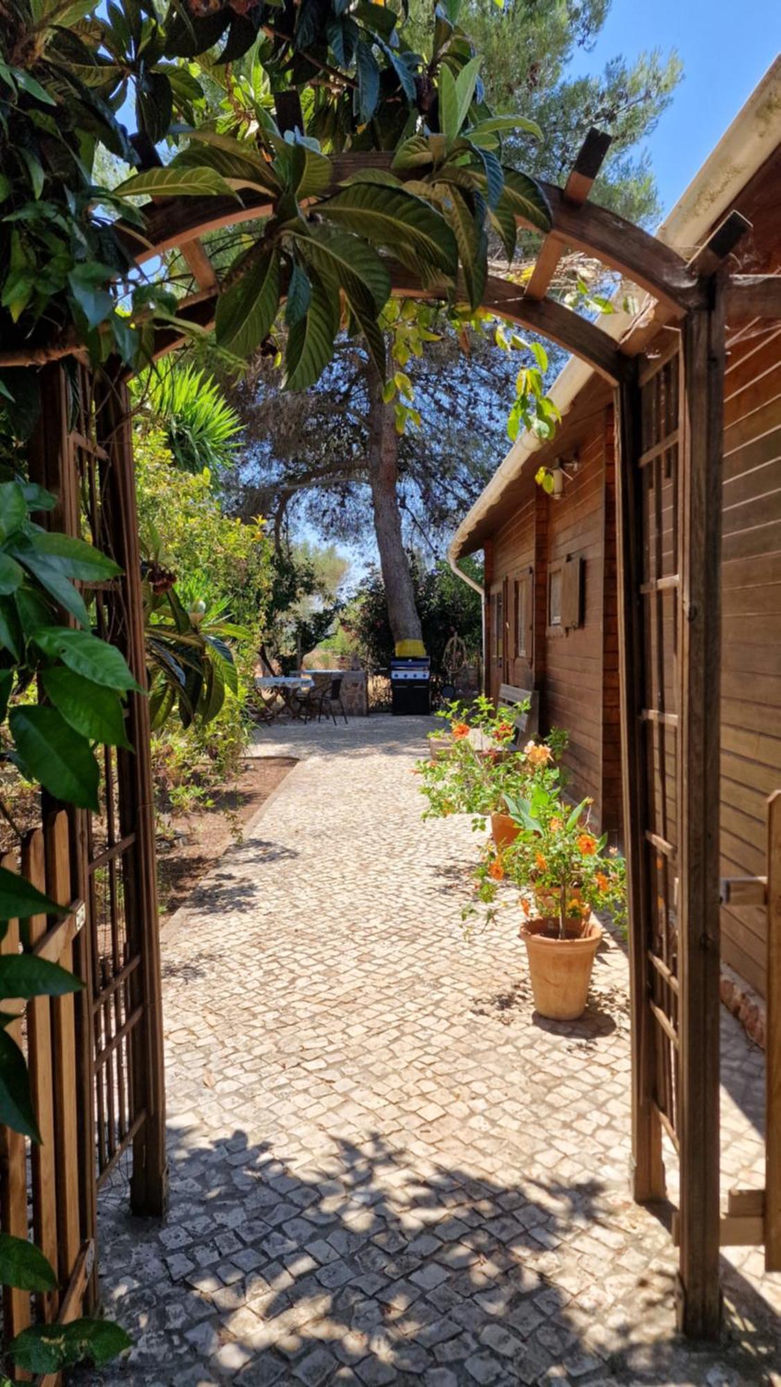 Chalet Villa Mosquito シルヴェス エクステリア 写真