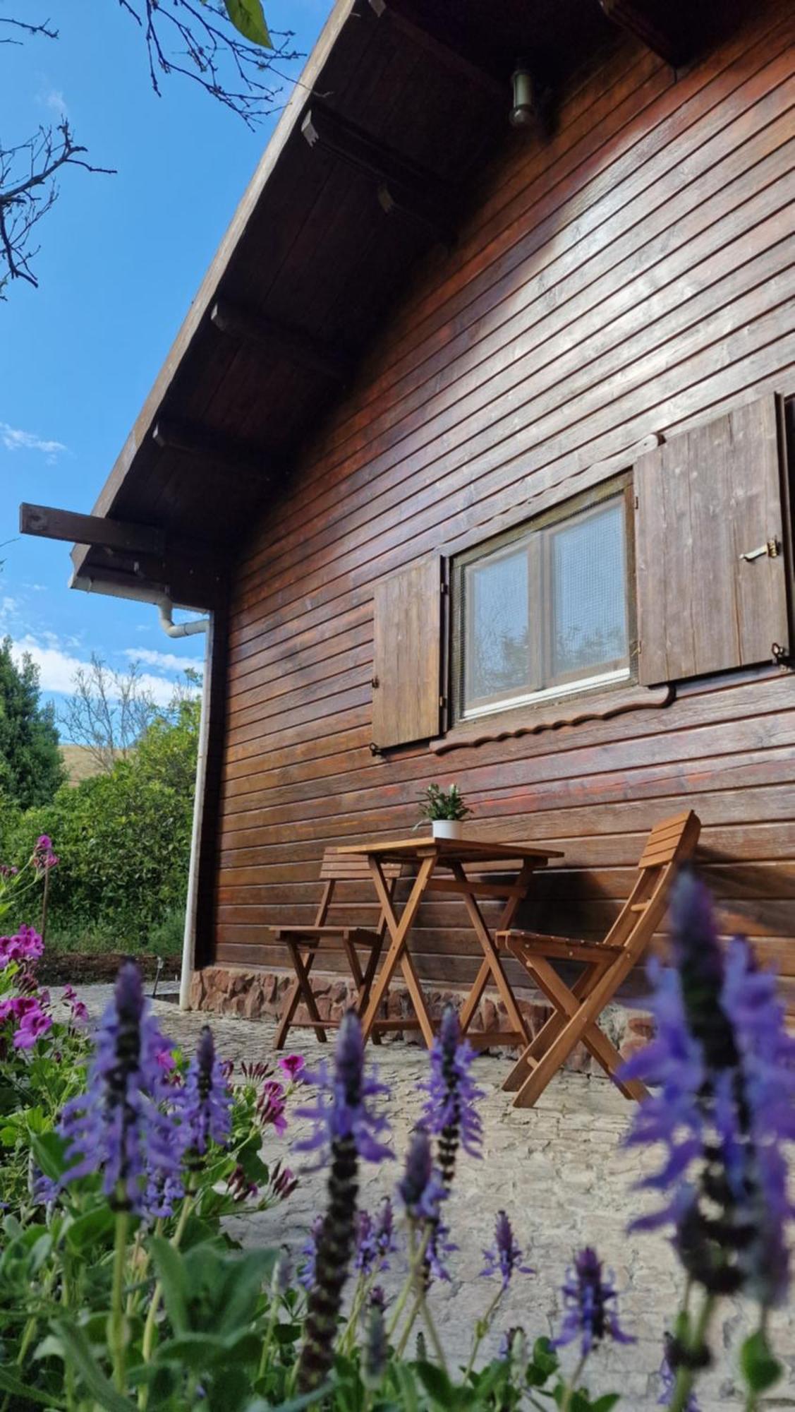 Chalet Villa Mosquito シルヴェス エクステリア 写真